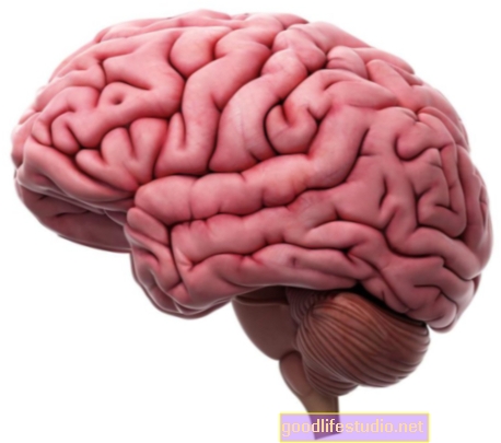 Estudio: cerebros femeninos más sensibles a las recompensas prosociales que los hombres