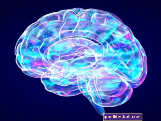 Дослідження ID Мозкові механізми, що стоять за стресом