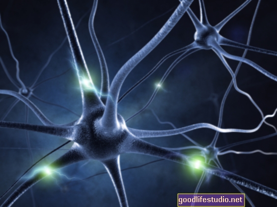 Studija povezuje dodatne moždane stanice s autizmom