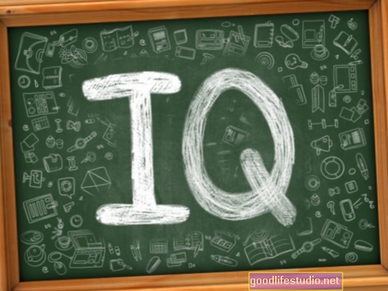 Studie zeigt, dass Bildung den IQ steigert