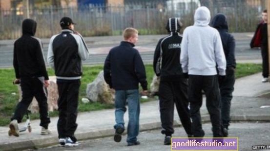 Studiul arată că gangurile de pe stradă nu creează extremism