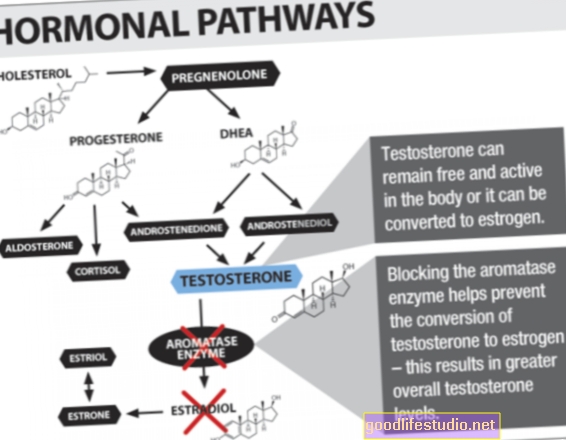 Тестостерон се претвара у естроген да би се уклонила депресија