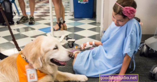 Chó trị liệu Cung cấp Phần thưởng cho Cải thiện Hành vi ASD