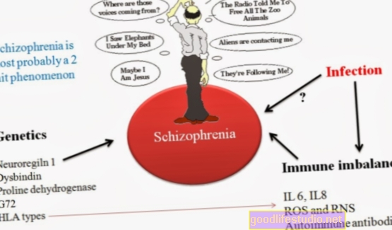 Nyní jsou spojeny dva rizikové faktory pro schizofrenii