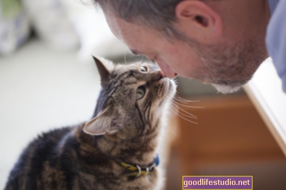Kajian di UK: Bagaimana Perasaan Pemilik Kucing Mengenai Perilaku Memburu Haiwan Peliharaan