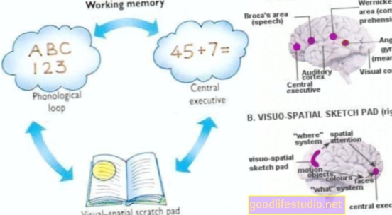 Darbinė atmintis neleidžia žmonėms atlikti užduočių