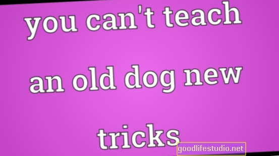 Anda Boleh Mengajar Trik Baru Anjing Lama