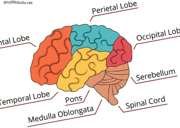 Nugaros smegenų sužalojimų klasifikacija ir sindromai