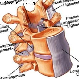 ligamentum tulang belakang
