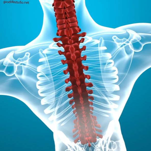 Укрепление позвоночника для здоровой спины