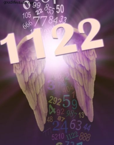 Eņģeļa numurs 1122