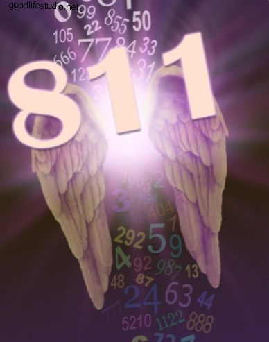 Angel číslo 811