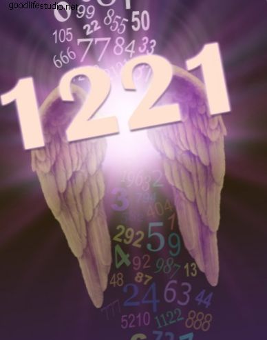 الملاك رقم 1221