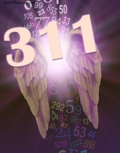 Engel Nummer 311