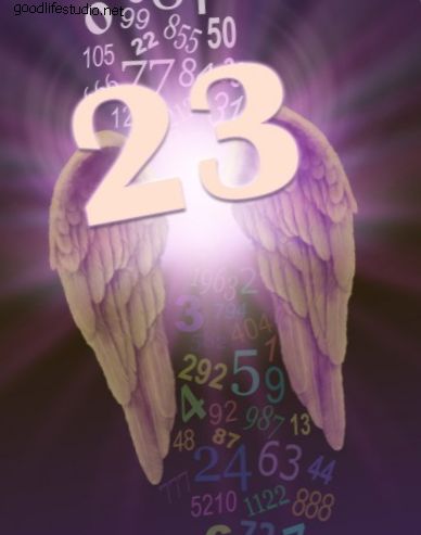 Ангел № 23
