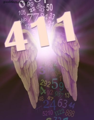Eņģeļa numurs 411