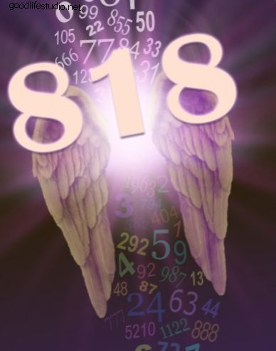 Angel číslo 818