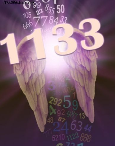 Ángel número 1133