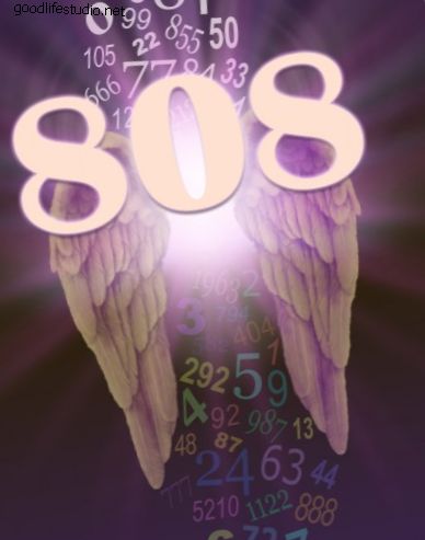 Numéro d'ange 808