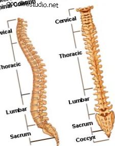 columna vertebral, vistas lateral y posterior, etiquetadas, color