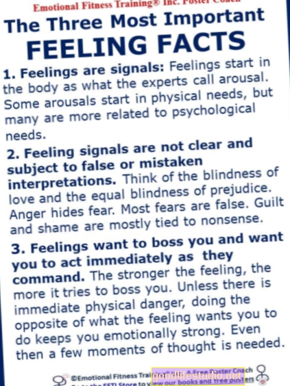 3 faktai apie jausmus