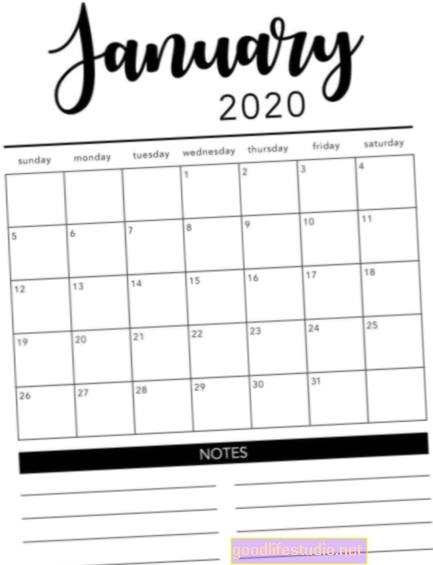 Mesec blogov: januar 2020