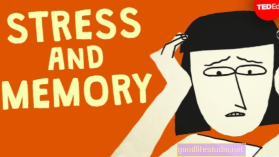كيف يؤثر التوتر على ذاكرتك