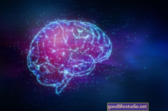 Neuroplasticita a technologie: Jak reagují naše mozky