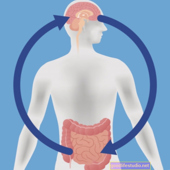 La conexión cerebro-intestino: cómo las bacterias intestinales pueden tratar la depresión