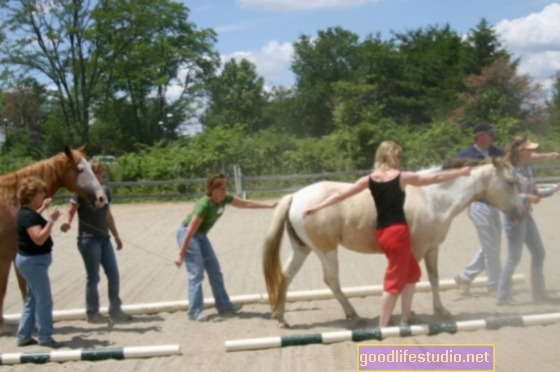Магија терапије олакшане коњима
