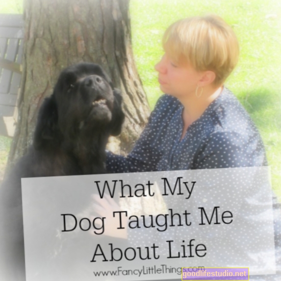 Co mě naučil můj pes o manželské terapii